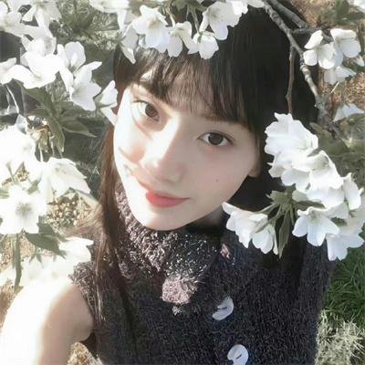 乡村爱情8上